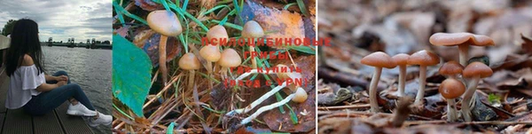 таблы Балабаново