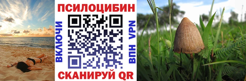 Галлюциногенные грибы Psilocybe  Шатура 